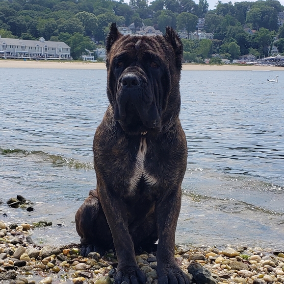 Claire's closet - Picture 11 of 13